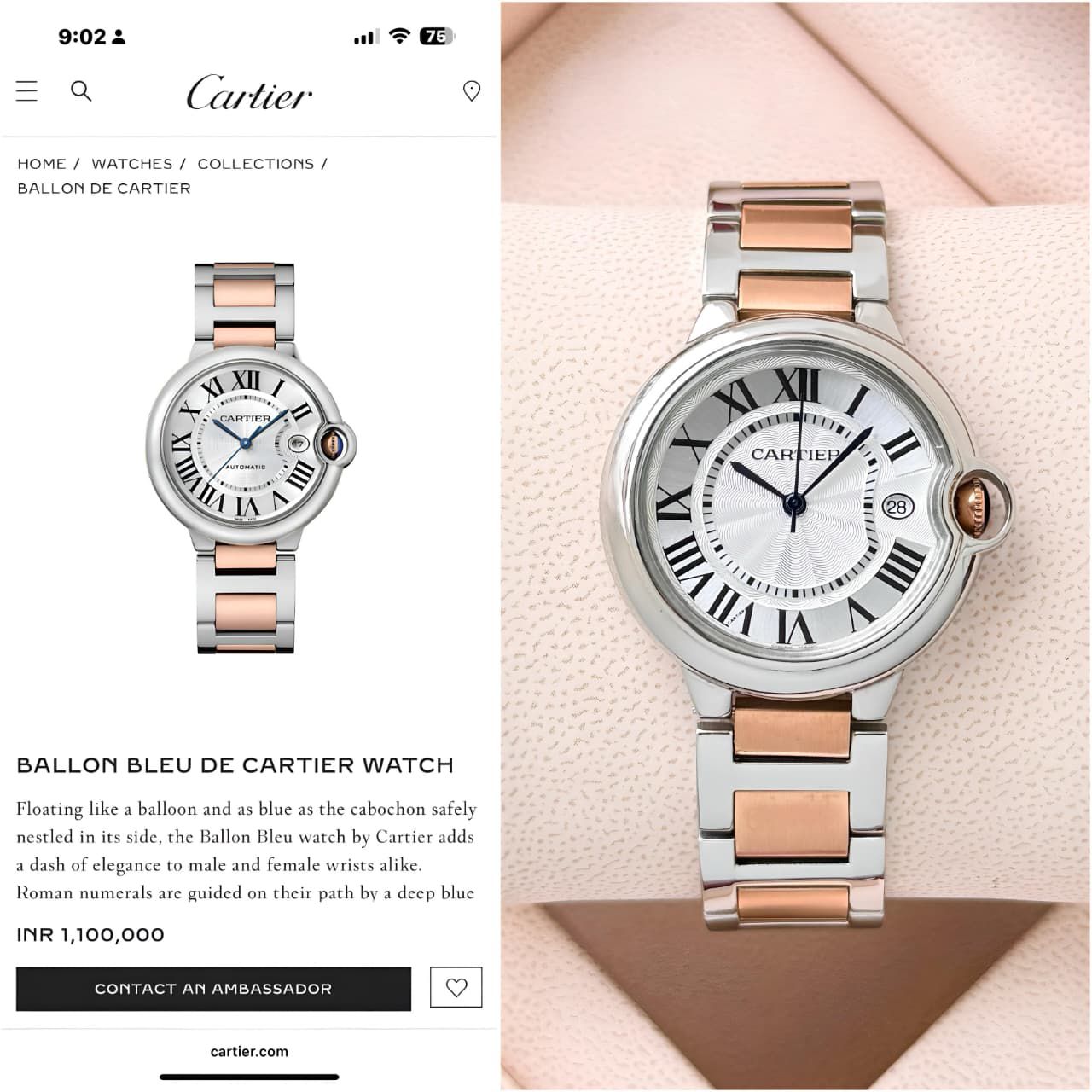 Cartier Ballon Bleu